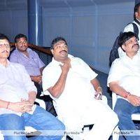 Simham Puli Audio Release Function - Pictures | Picture 110202